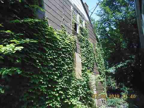 14739 Lappin (6)_m.jpg